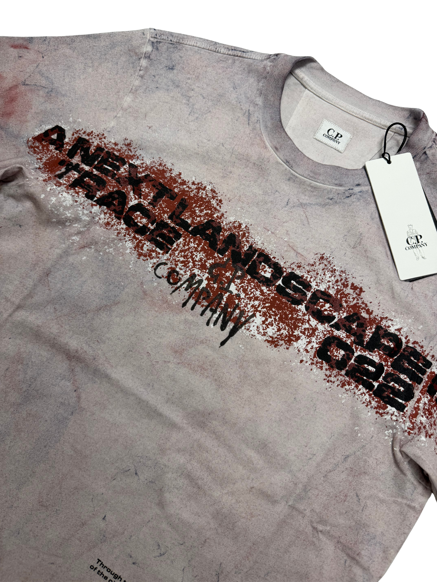 C.P.Company T shirt Next Landscape 022