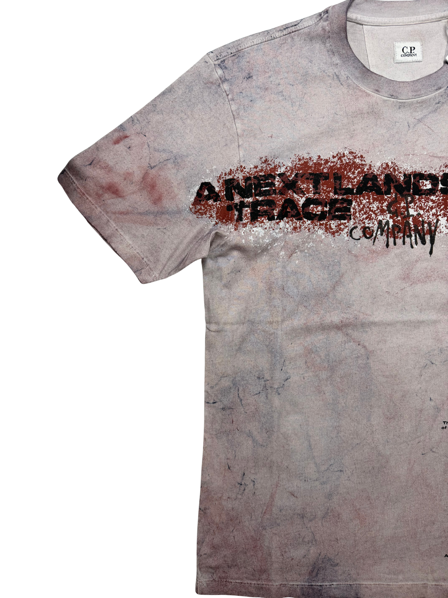 C.P.Company T shirt Next Landscape 022